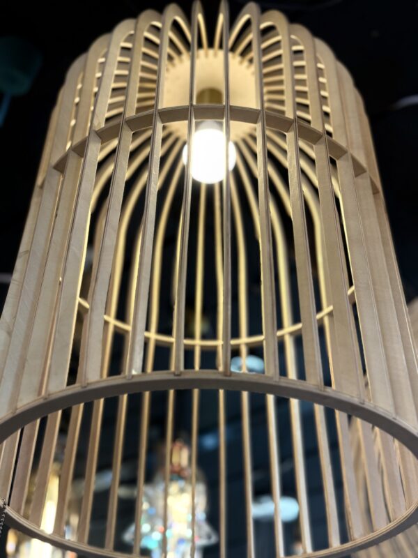 Celestial Cage